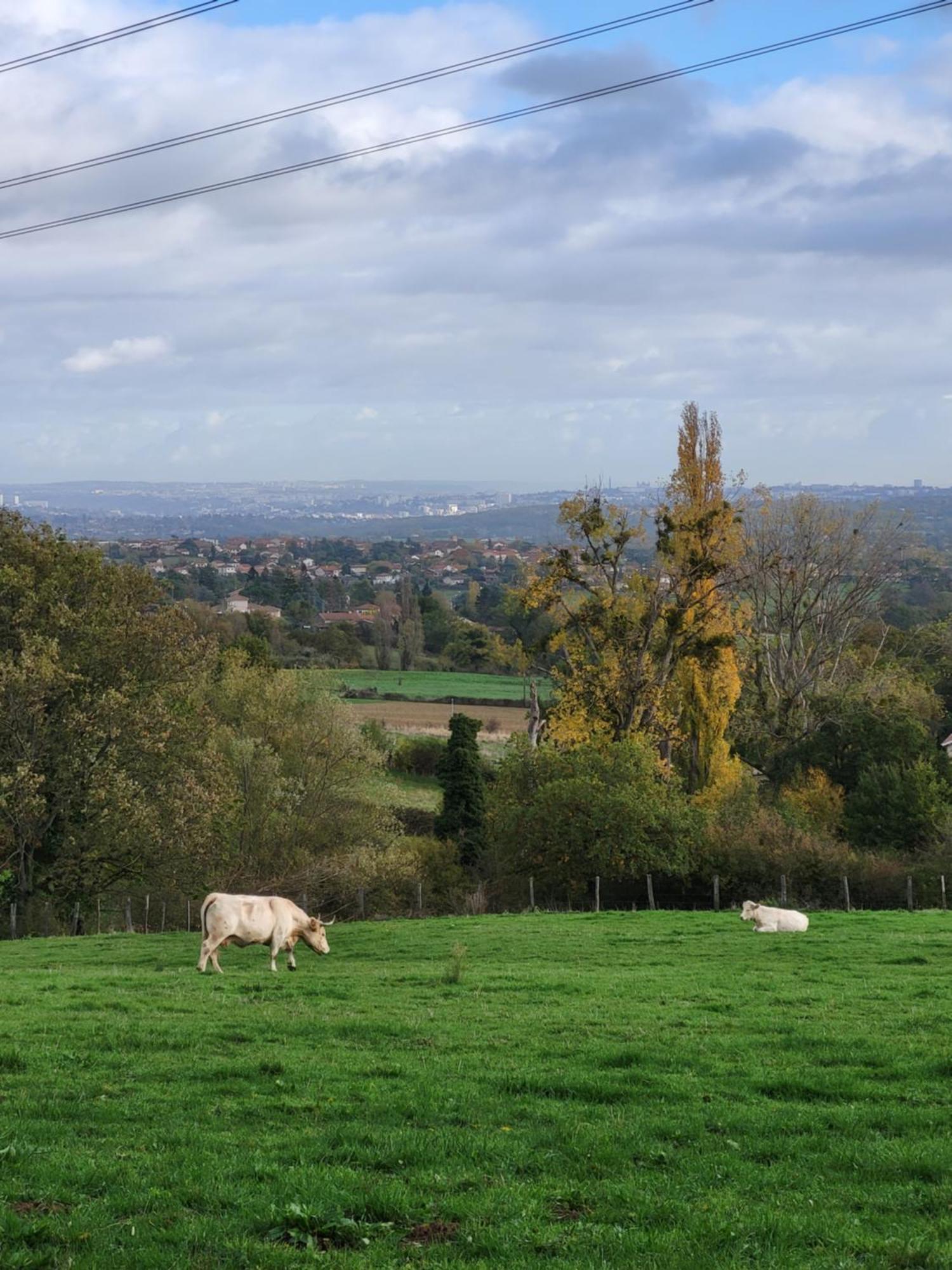 Appart'Hotel Le Clos Lassagne A Brignais - Lyon Sud ภายนอก รูปภาพ